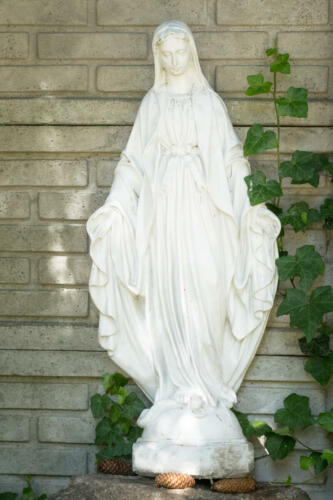 Matka Boża w ogrodzie na probostwie fot. J. Bednarska